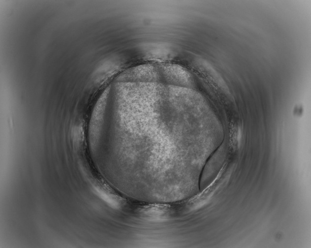 X0000097890128200804111028