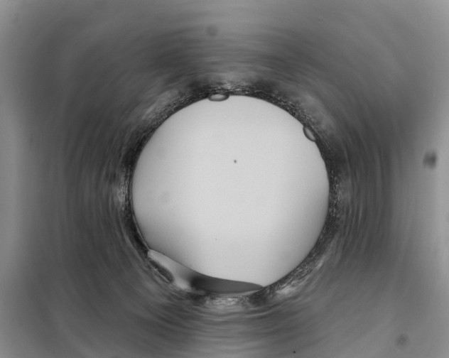 X0000097890129200804111028