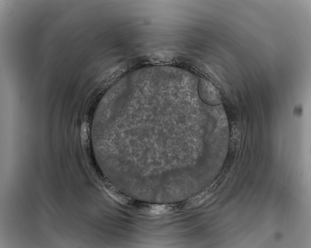 X0000097890130200804111028