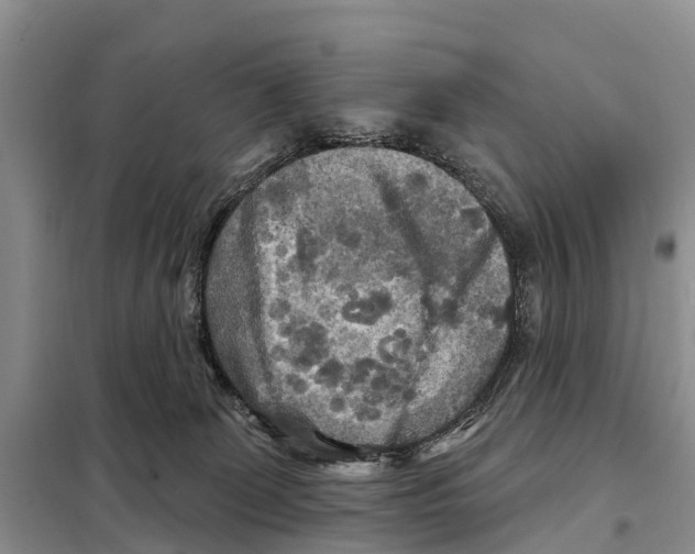 X0000097890131200804111028