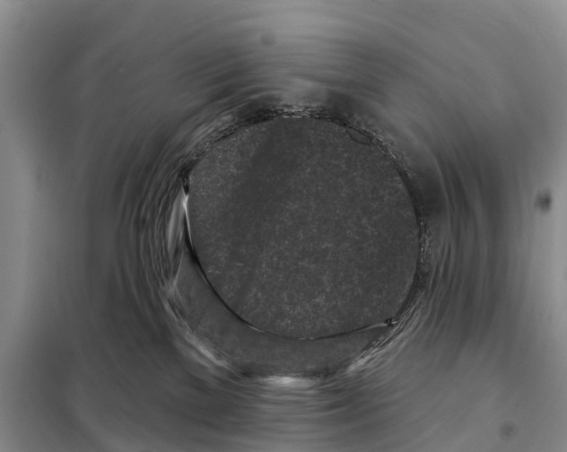 X0000097890137200804111028