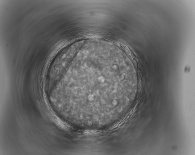 X0000097890145200804111027