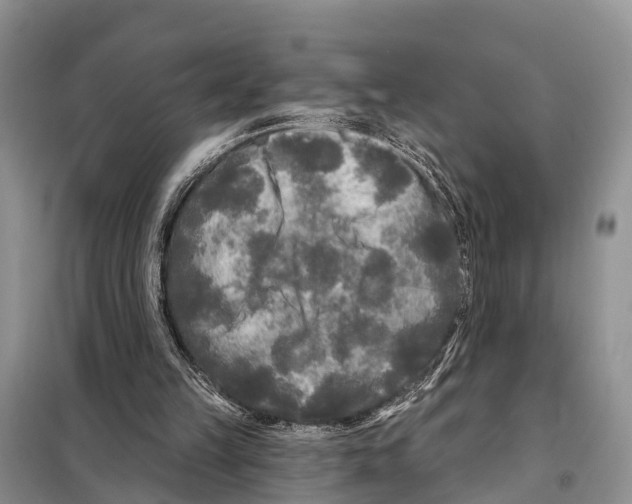 X0000097890149200804111027