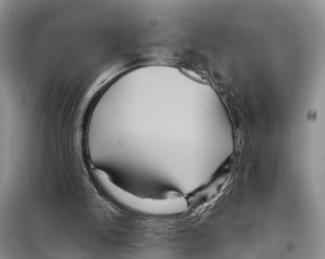 X0000097890150200804111027