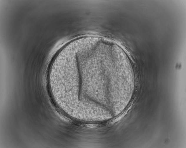 X0000097890151200804111027