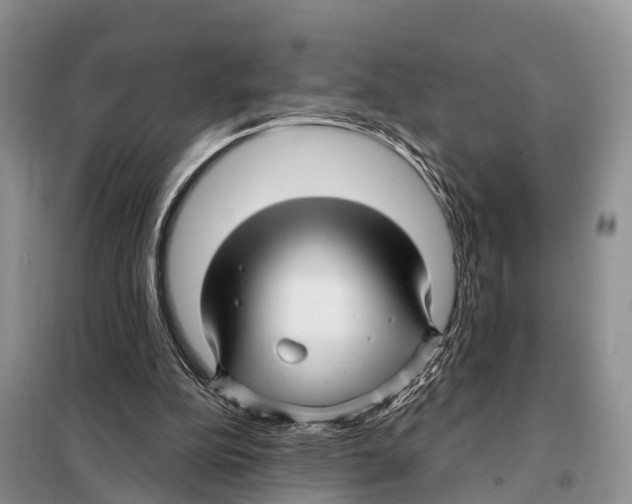 X0000097890152200804111027