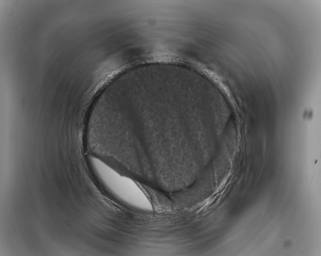 X0000097890154200804111027