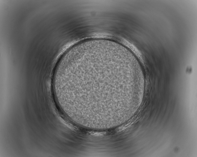 X0000097890155200804111027