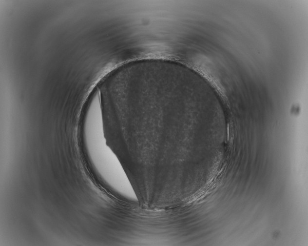 X0000097890156200804111027