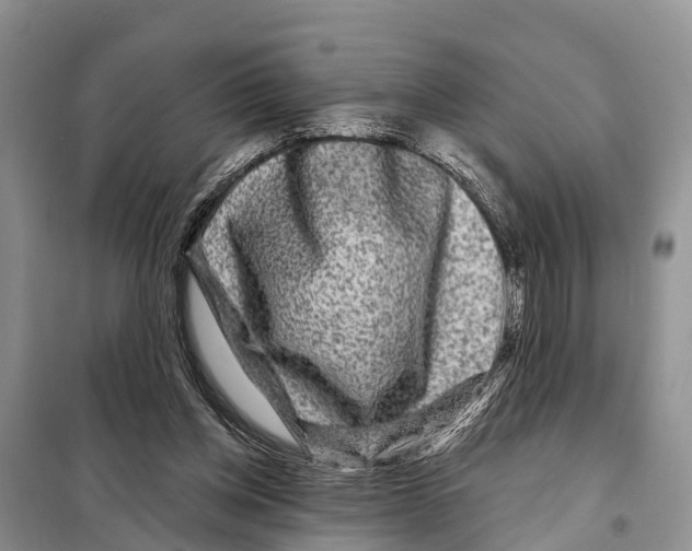 X0000097890158200804111027