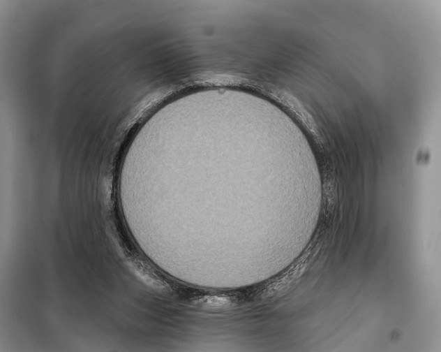 X0000097890159200804111027