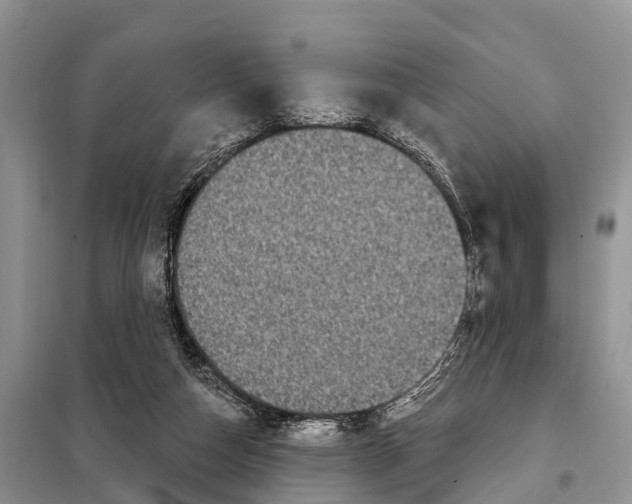 X0000097890162200804111027