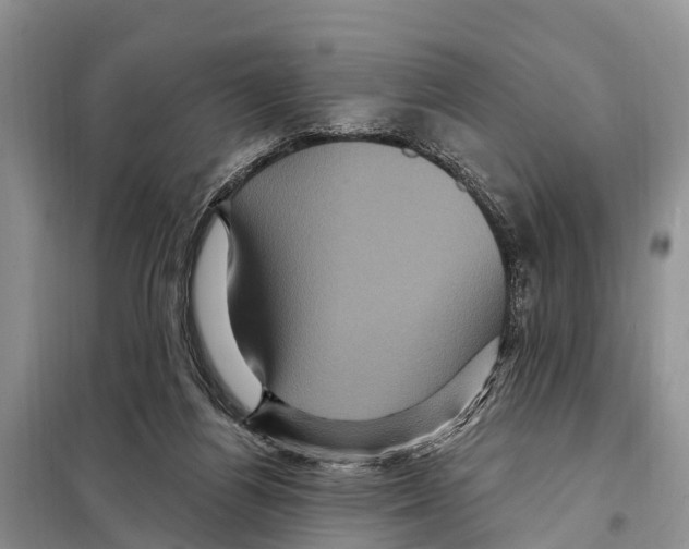 X0000097890164200804111027