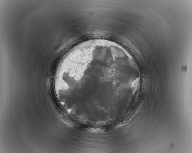 X0000097890165200804111027