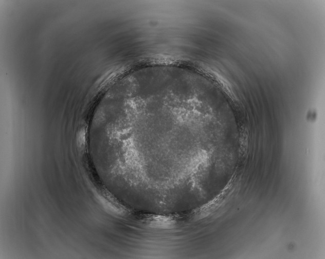 X0000097890166200804111027