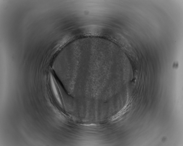 X0000097890168200804111027