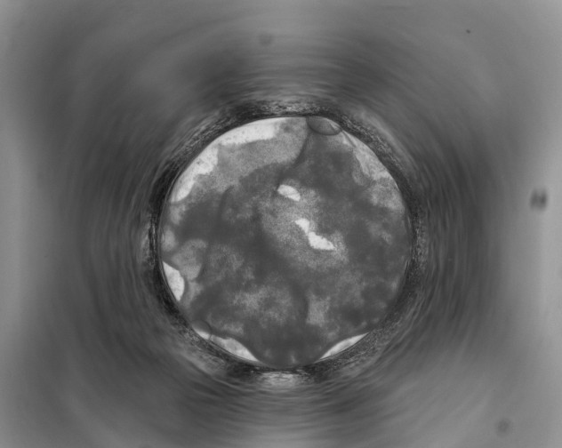 X0000097890169200804111027