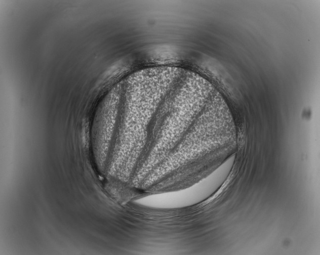 X0000097890170200804111027