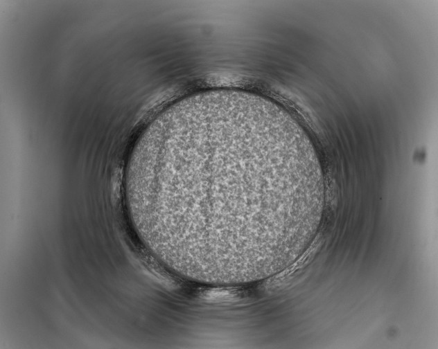 X0000097890171200804111027