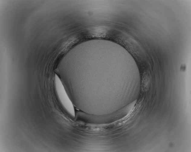 X0000097890172200804111027