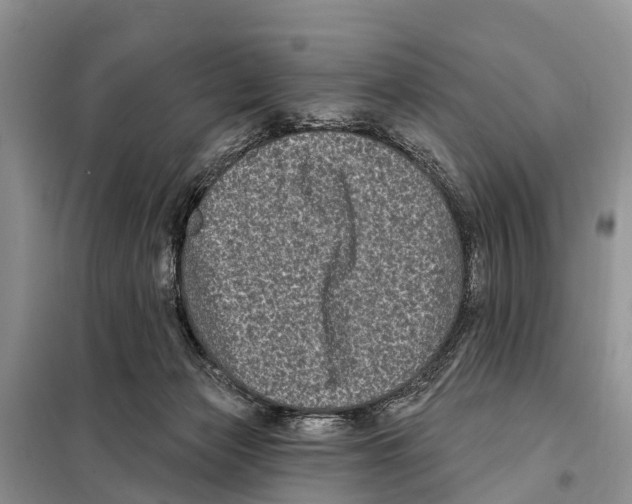 X0000097890173200804111027