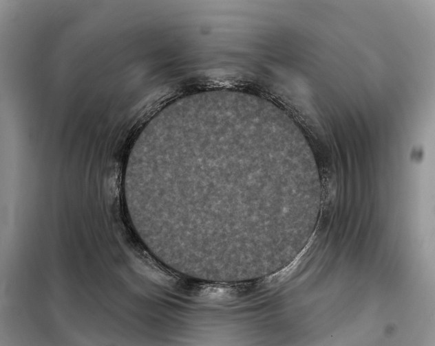 X0000097890174200804111027