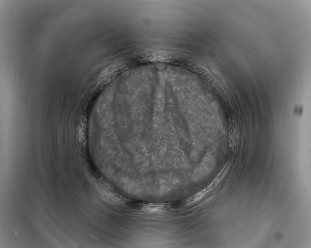 X0000097890175200804111027