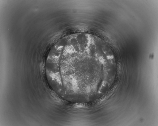 X0000097890177200804111027