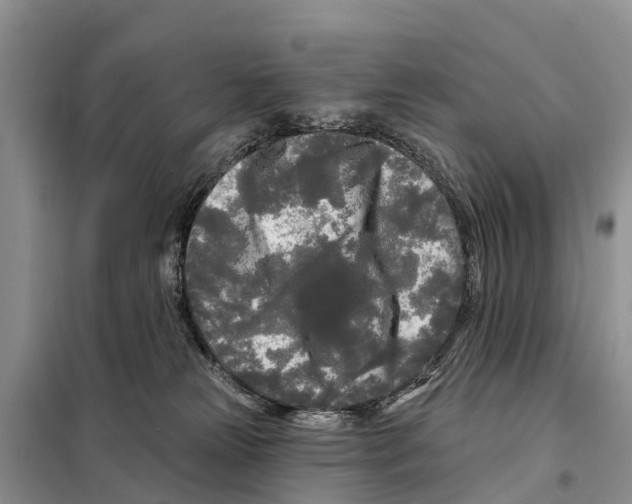 X0000097890181200804111027