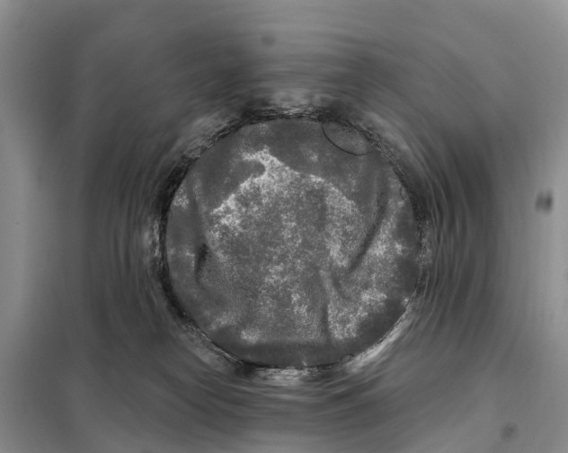 X0000097890182200804111027