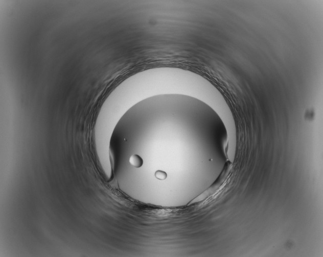 X0000097890184200804111027