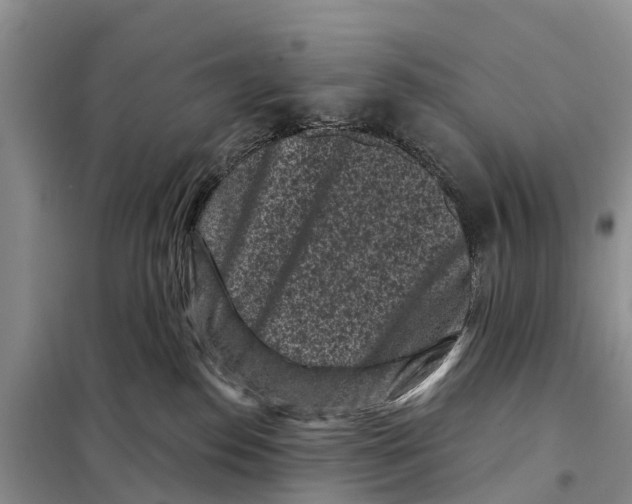 X0000097890186200804111028