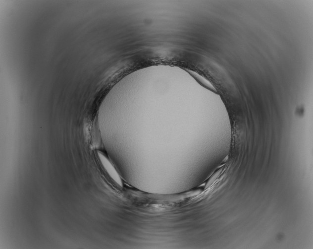 X0000097890188200804111028