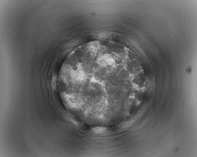 X0000097890189200804111028