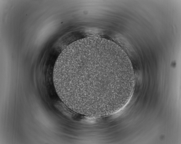 X0000097890190200804111028