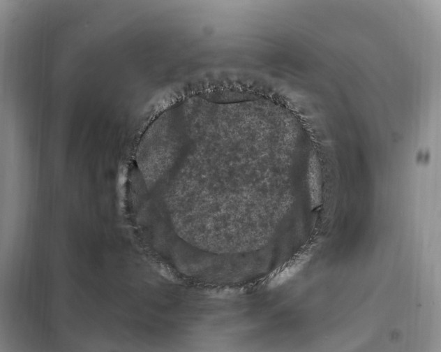 X0000097890192200804111028