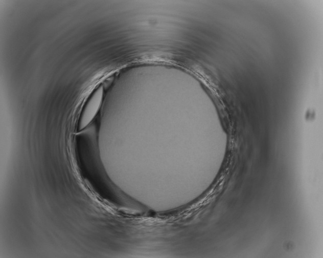 X0000097890193200804111027