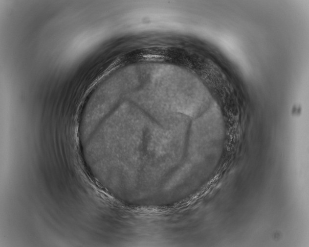 X0000097890194200804111027