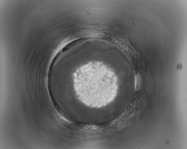 X0000097890195200804111027