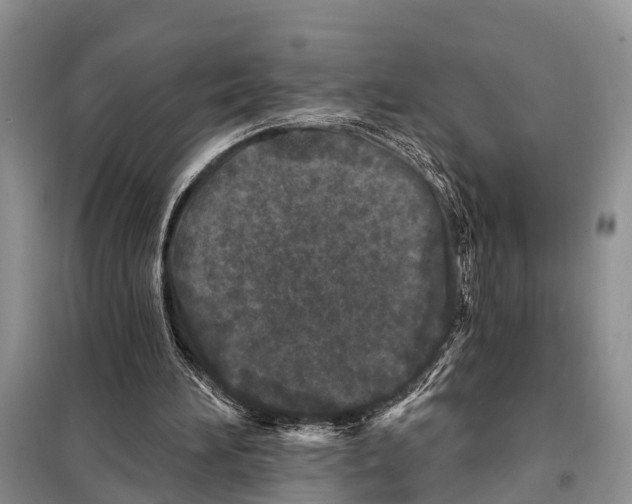 X0000097890196200804111027