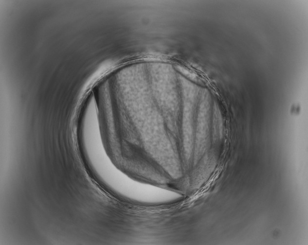 X0000097890197200804111027