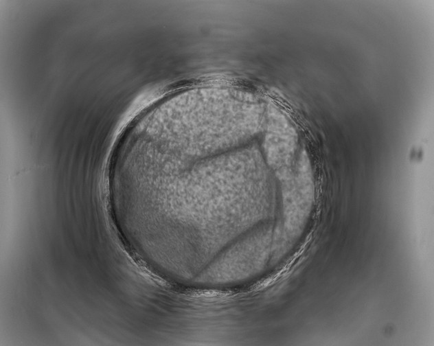 X0000097890198200804111027