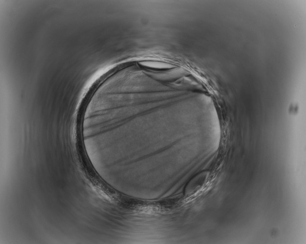 X0000097890200200804111027