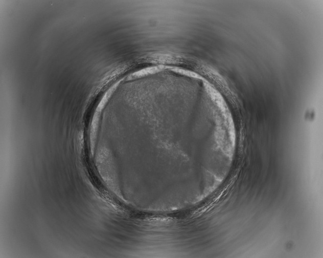 X0000097890202200804111027