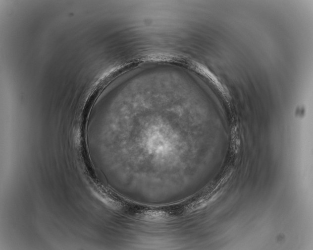 X0000097890203200804111026