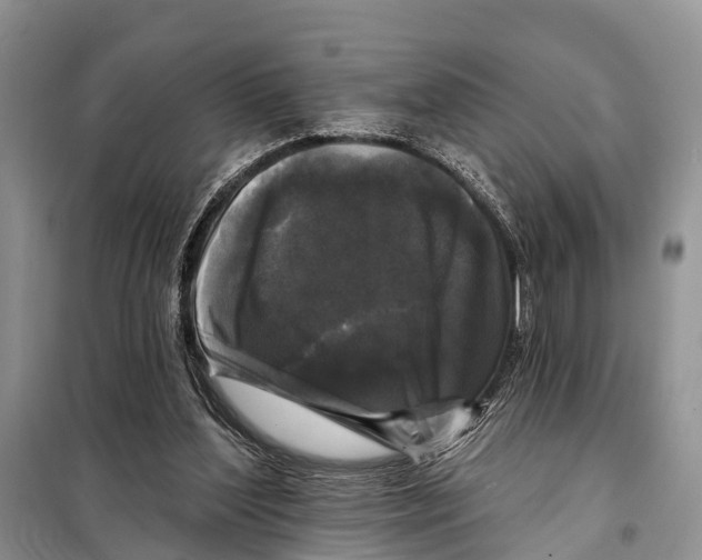 X0000097890204200804111026