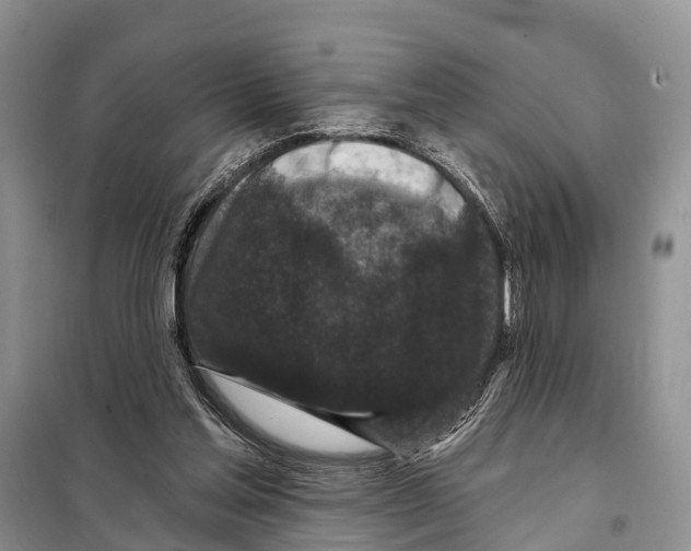 X0000097890205200804111026