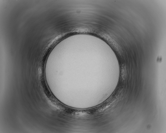 X0000097890208200804111026