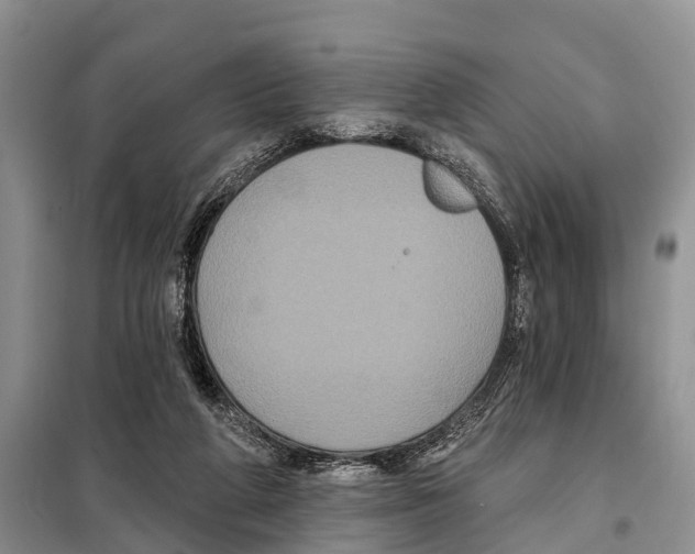 X0000097890210200804111026