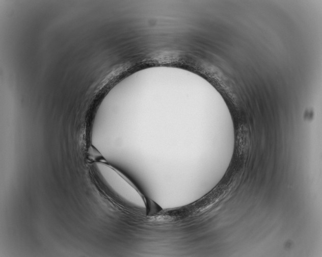 X0000097890212200804111026